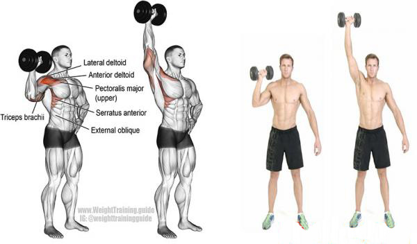 Dumbbell One Arm Shoulder Press 