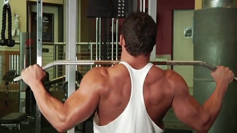 Lat Pulldown 