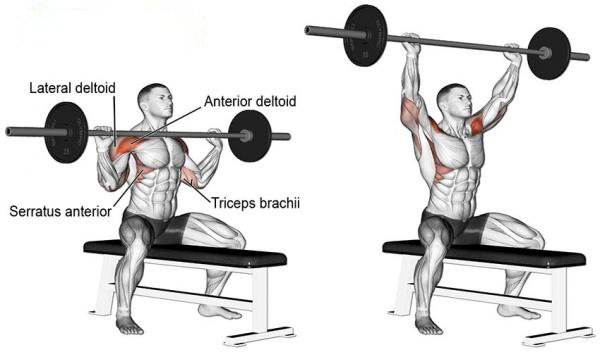 Seated Barbell Military Press 