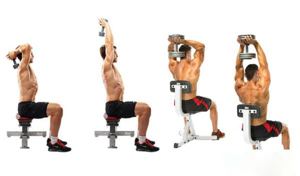 Seated Triceps Press 