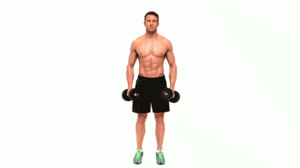 dumbbell lateral raise 