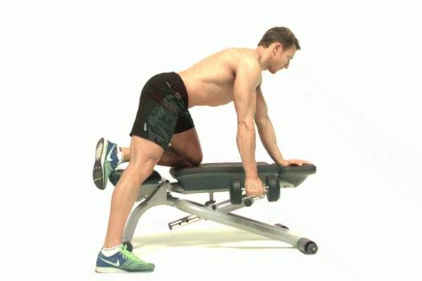 dumbbell single arm row 